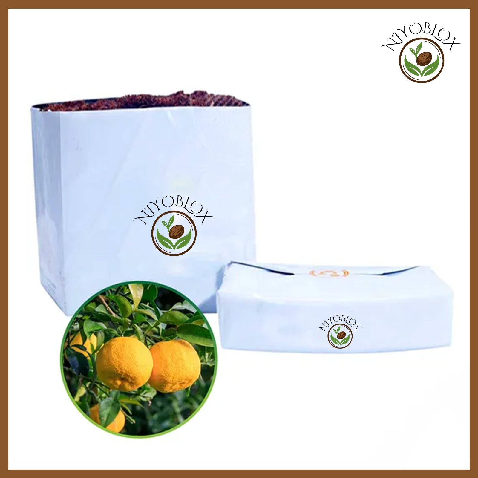 Citra Mix Planter Bag