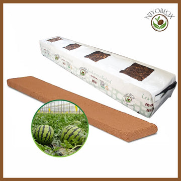 Melon Mix Planter Bag