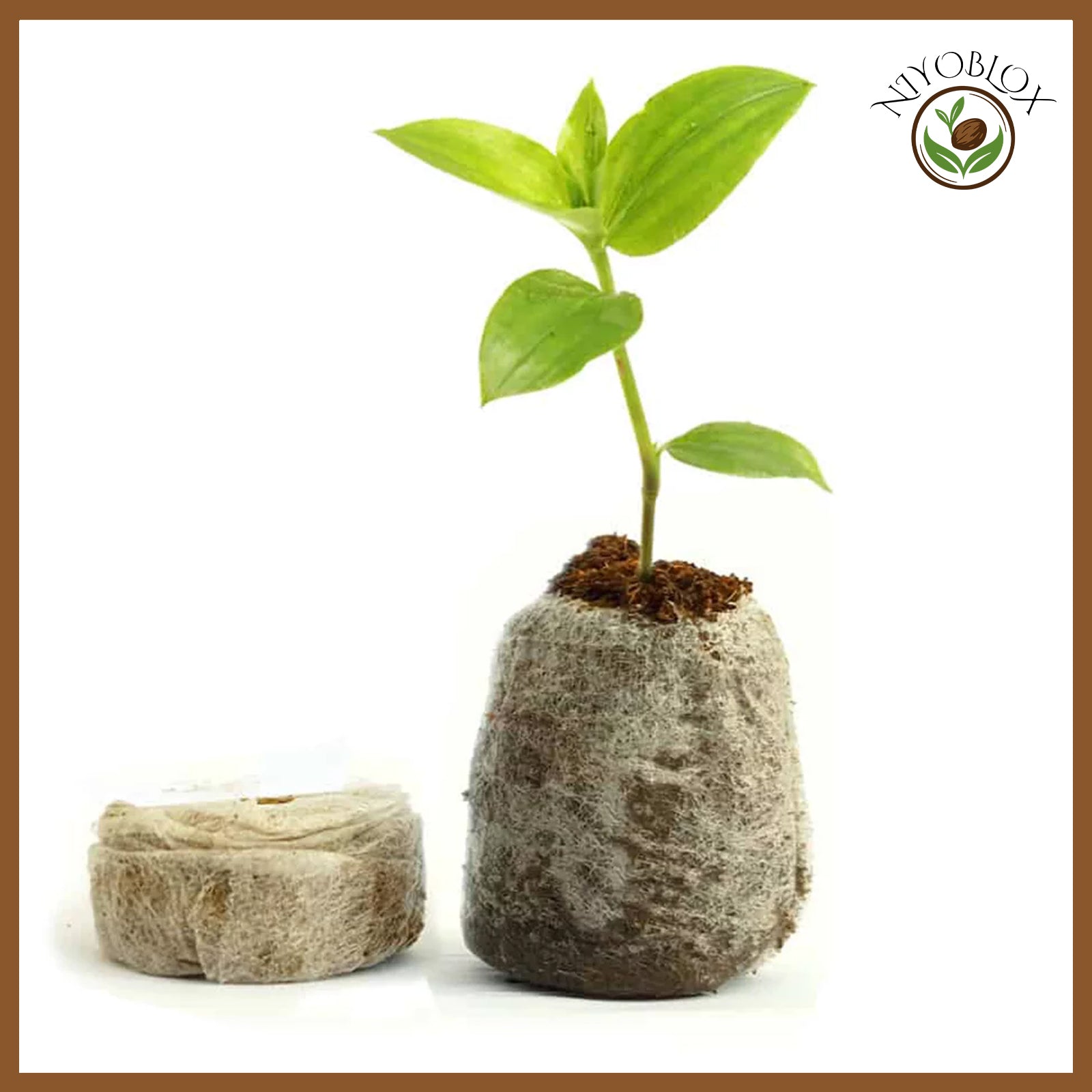 Smash Mix Grow Pallet