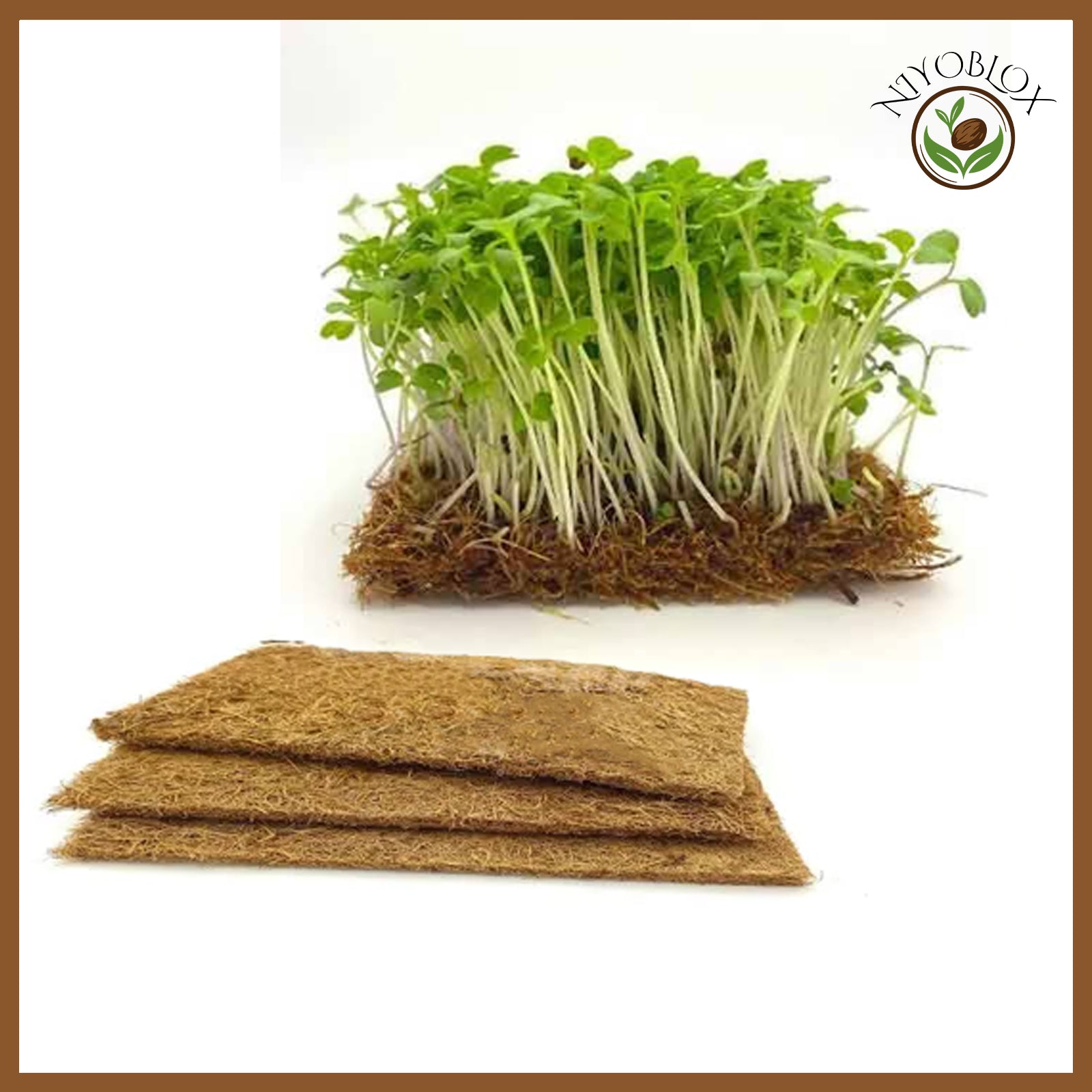 Smash Mix Coir Grow Pallet