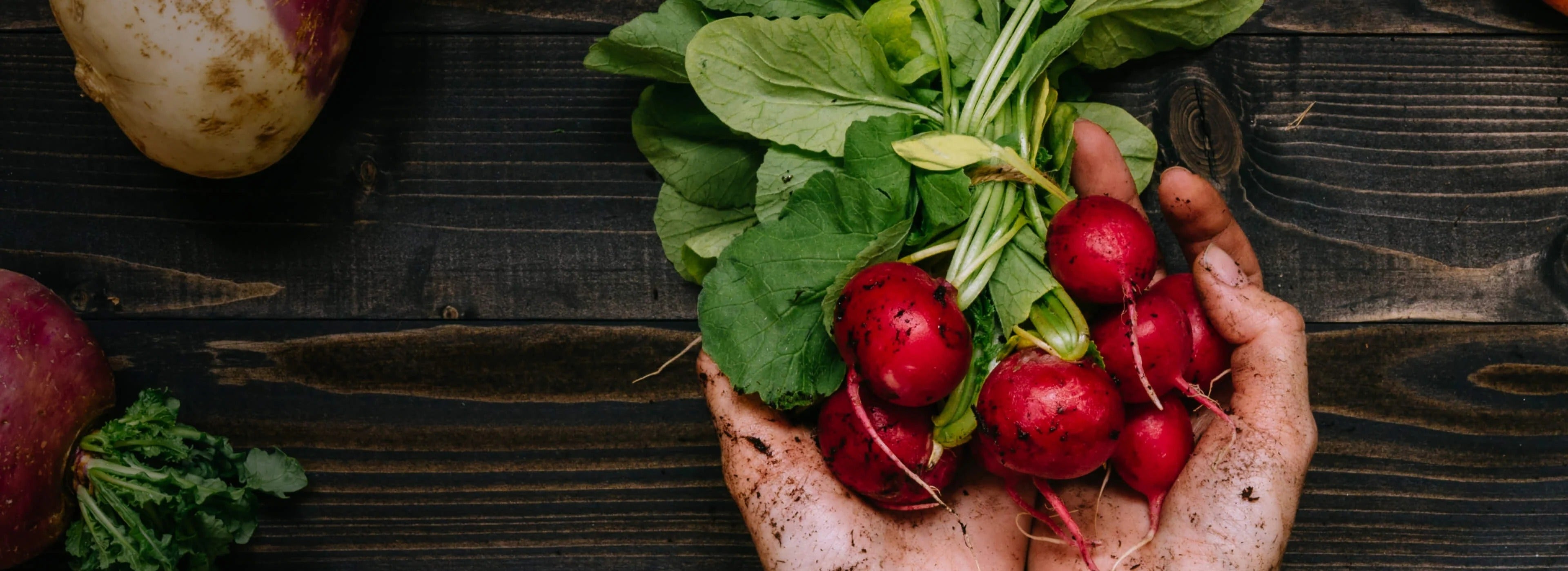 slider image slider_item_jTqAQm