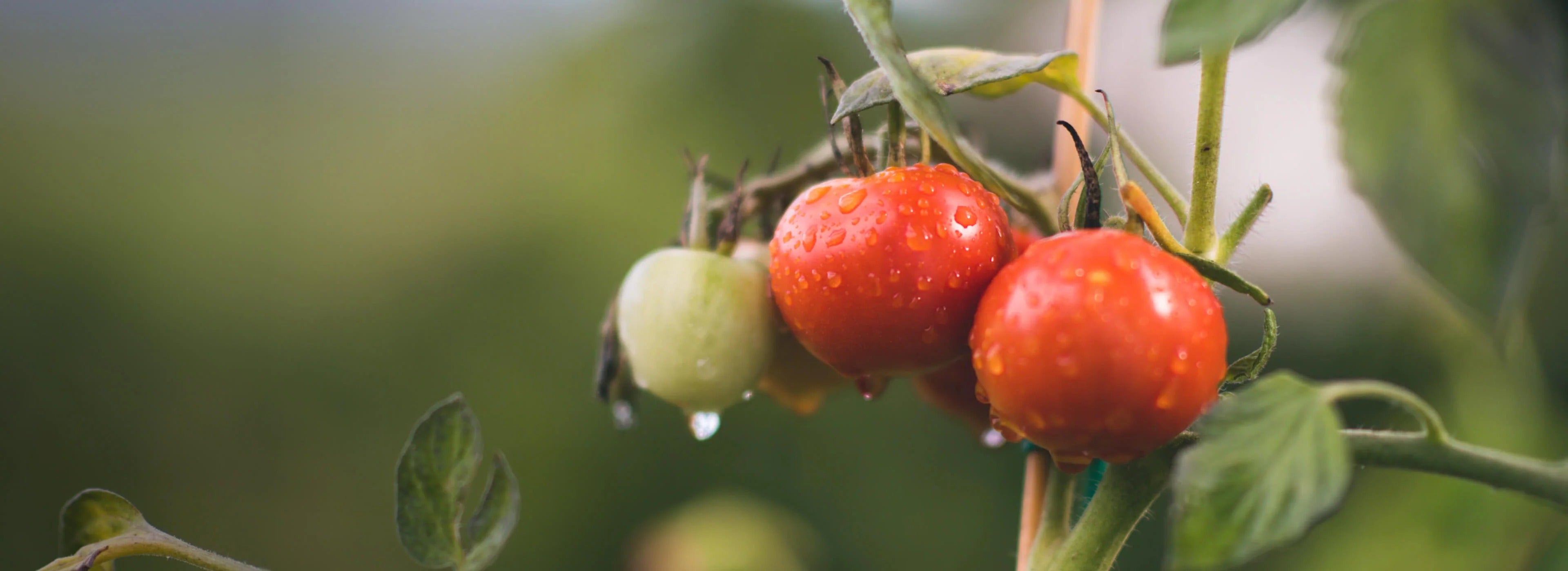 slider image slider_item_33dGpa