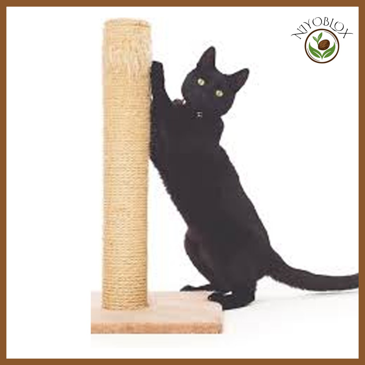 Coco Coir Cat Scratcher